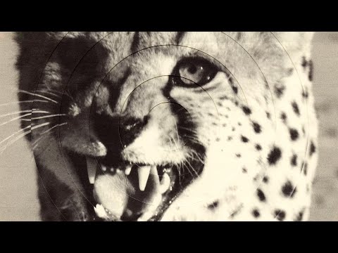deftones - cXz [visualizer]
