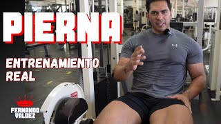 Construyendo un físico PODEROSO | Rutina real de pierna ❗️