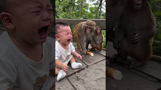 Wise monkey and baby