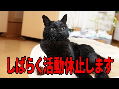 さよなら黒ちゃんねる！また会う日まで、、、