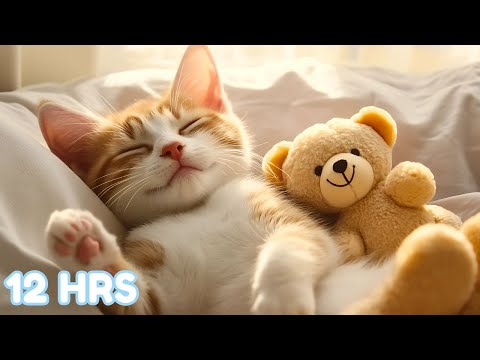 🌜EXTRA-LONG Music for Cats - Deep Sleep for Anxiety Relief 🌛