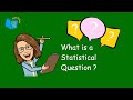 Understanding Statistical Questions