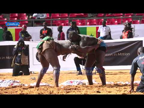 Intégralité du combat Bombardier vs Tapha Tine