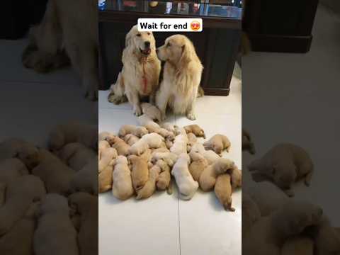 Wow ๐ cute babies โค๏ธ๐ฅฐ