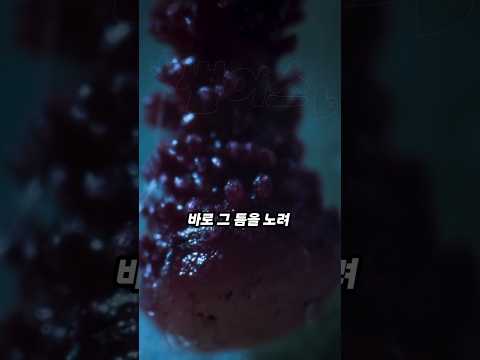 선인장도 죽이는 강력한 똥