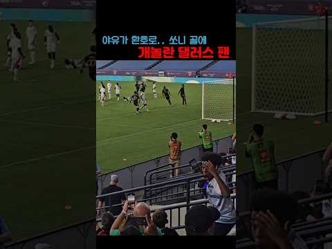 손흥민 프리킥 골 상대팀 팬 반응 ㅋㅋㅋㅋㅋ