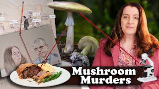 The Deadly Lunch : How Science Uncovered a Murder