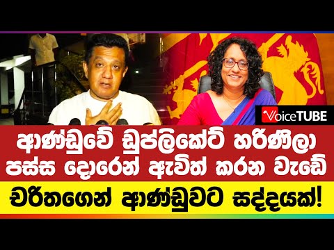 මේක විකාර රූපී දේශපාලනයක්! තර්ක බරපතලයි! චරිතගෙන් ආණ්ඩුවට සද්දයක්! | Charitha Herath