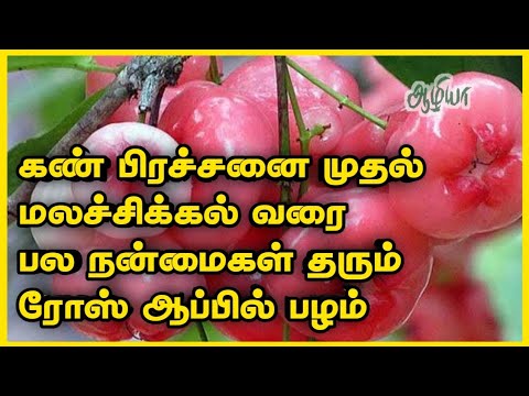 Rose apple Benefits in Tamil #waterapple #healthtips #aazhiya #aazhiya health tips