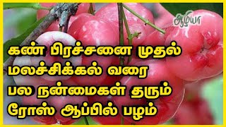 Rose apple Benefits in Tamil #waterapple #healthtips #aazhiya #aazhiya health tips