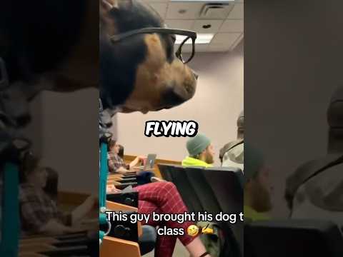 3 MOST FUNNIEST School Moments Ever!