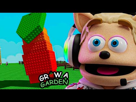 HELP FRUIT SNACKSS GROW A GARDEN (Roblox)