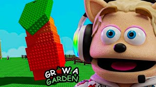 HELP FRUIT SNACKSS GROW A GARDEN (Roblox)