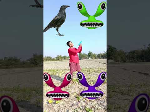 Cyan rainbow head to Crow,, tota,, owl & pigeon - magical vfx video #trending #shorts ?