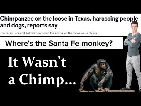 The 2019 Bigfoot Sighting Spree in Santa Fe Texas That No One Talks About