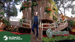 San Diego Zoo Wildlife Alliance Award-Winning Float | 2025 Rose Parade