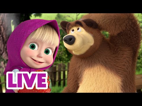 🔴 LIVE 📺 玛莎和熊 👱‍♀️🐻 最佳创意 🤖 Masha and the Bear 🌟 儿童动画片