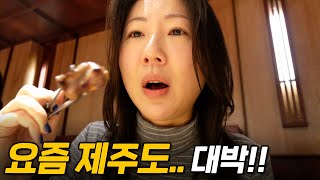제주도는 앞으로 1박 2일로 다닐려고요.. 대박이네요 [제주VLOG]