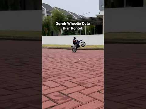 Kalo Bersih Kinclong Ya Bukan Dirt Bike Namanya | Losi Promoto MX Wheelie