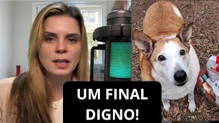 O SILVEIRA FOI ADOTADO! OLHA ESSA HISTÓRIA!