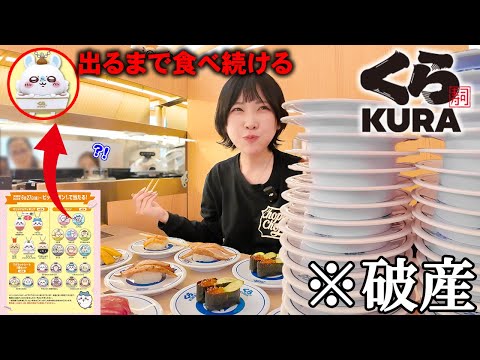 【大食い】くら寿司ちいかわコラボ⁉️狙ったグッズが当たるまで食べ続けてみたらハプニングだらけで大破産ww【海老原まよい】
