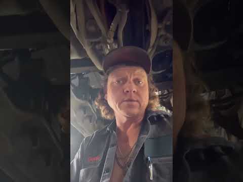 Dropping a 379 Peterbilt #shorts #peterbilt