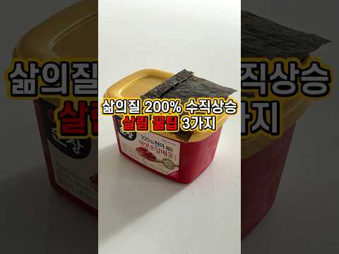 고추장에 김을 포근하게 덮어주면 이렇게 됩니다 ㅋㅋ #봄집사
