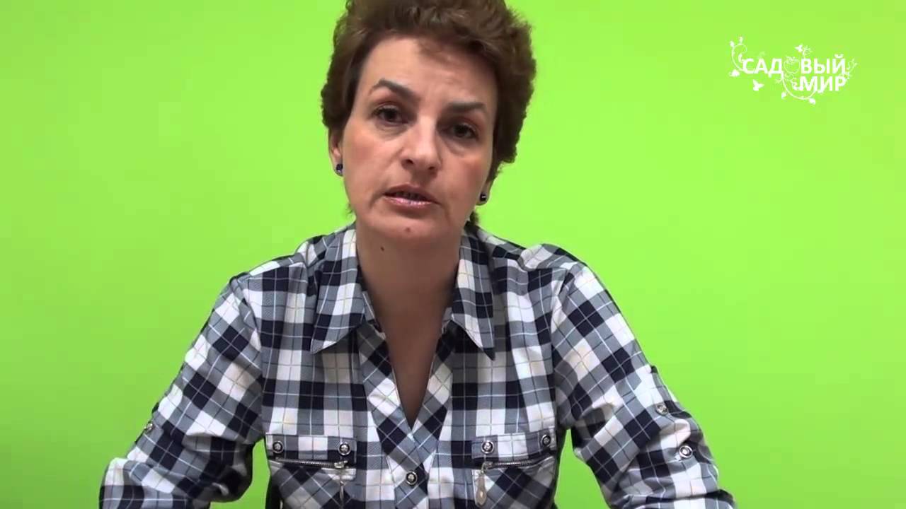 Как повысить урожай малины Двойная обрезка малины