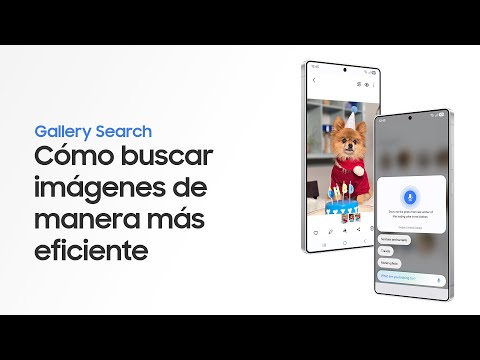 Como usar Gallery Search | Samsung Galaxy S25 Series