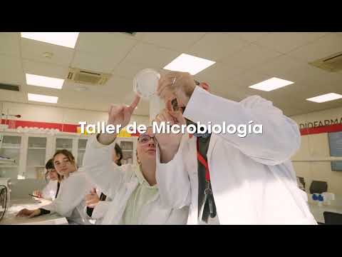 Alumnos del Ciclo FP Laboratorio Clínico y Biomédico en Madrid - Taller Práctico