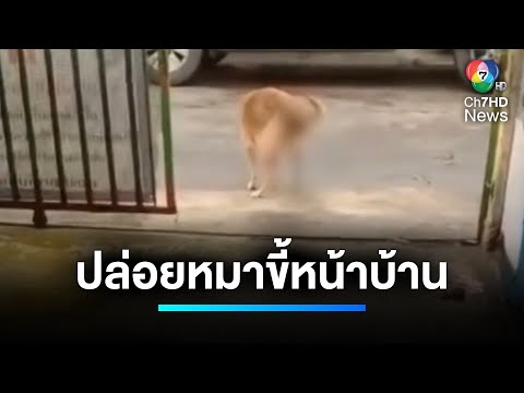 สาวร้อง ! ถูกเพื่อนบ้านปล่อยสุนัขขี้หน้าบ้าน นานหลายปี | เจาะประเด็นข่าว 7HD