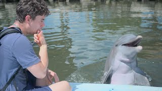 Los delfines se sorprenden cuando hablo su idioma