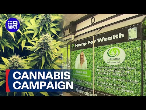 YouTube video thumbnail: Cannabis Dispensary Opened to the Public in Bold Election Pitch