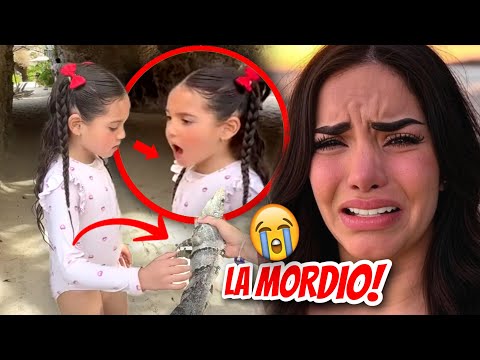 LA MORDIERON! 🚨😭 (KIMA Y JUANITO EN LA SELVA CON UN "ALLIGATOR" GIGANTE) 😱 #kimayjuanito