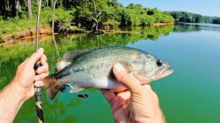 Uncut Mayhem: Fish Were Going Nuts at First Light