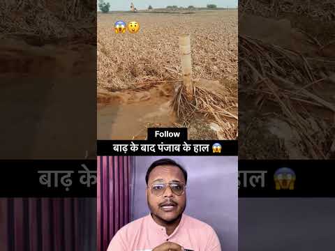 बाढ़ के बाद पंजाब का पानी 😱😲 #shorts #shortvideo #punjab