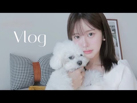 VLOG. 베프 남편과 티키타카ㅣ일본컵라면 언박싱ㅣ자라쇼핑ㅣ키스오브라이프ㅣ프라다행사ㅣ카보아츠아츠ㅣ위시 냉장고 구매ㅣ요즘 나이트케어 루틴ㅣ명란아보카도 덮밥ㅣ요리학원