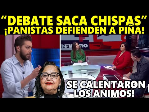 TÓMALA PAPA!.. VEAN! ¡YOUTUBER hace PEDAZOS a PANISTAS1 Que DEFIENDEN los PRIVILEGIOS de NORMA PIÑA"