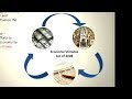 Economic Principles and Consumer Behavior