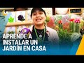 Festival Plantae: Preguntas y Respuestas