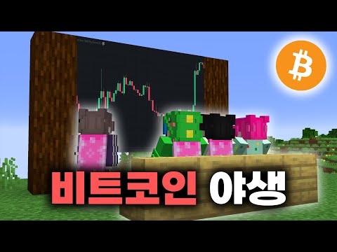 마인크래프트에서 코인하기
