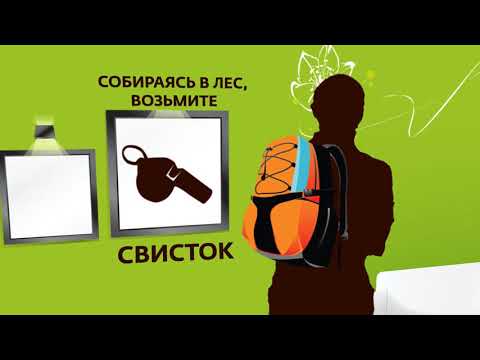 Лесоохрана Действия потерявшегося в лесу