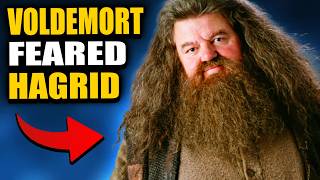The 5 BEST Hagrid Theories You'll Ever Hear - Harry Potter Theory