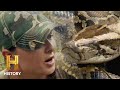 Super Snakes in the Everglades