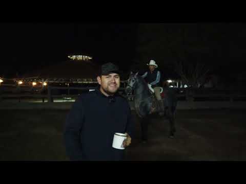 Una mañana en un rancho de arrendamiento de caballos -  Rancho Rivera del Colorado