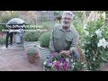 Understanding Annual and Perennial Plants
