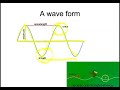 Wave Properties and Behavior