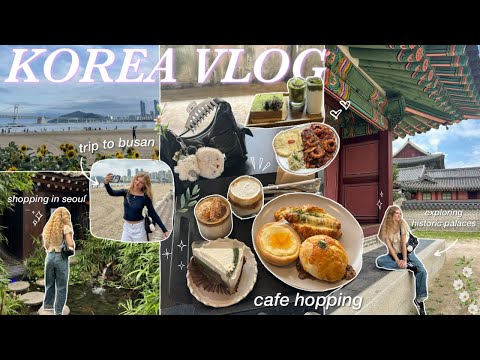 KOREA VLOG: train to busan, gwangalli beach, changdeokgung palace, cafe hopping, & seoul shopping!