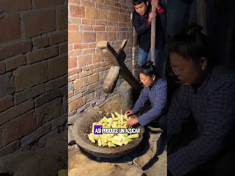 ¡El 99% de los españoles están locos por este dulce!  #funny #youtube #fyp