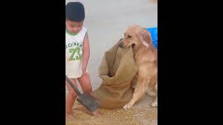Uses for dogs #fyp #funny #dog